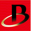 Logo Bradespar