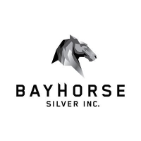 Logo Bayhorse Silver