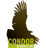 Logo Condor Resources