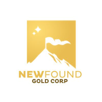 Logo New Found Gold
