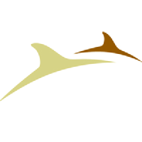 Logo NorthIsle Copper and Gold