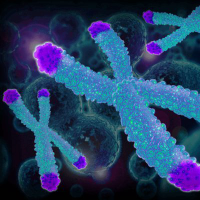 Logo Telo Genomics