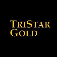 Logo Tristar Gold