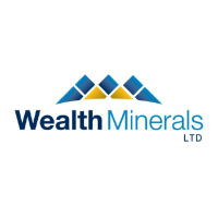 Logo Wealth Minerals
