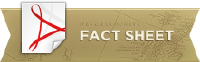 Logo Zonte Metals