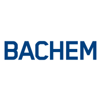 Logo BACHEM HOLDING