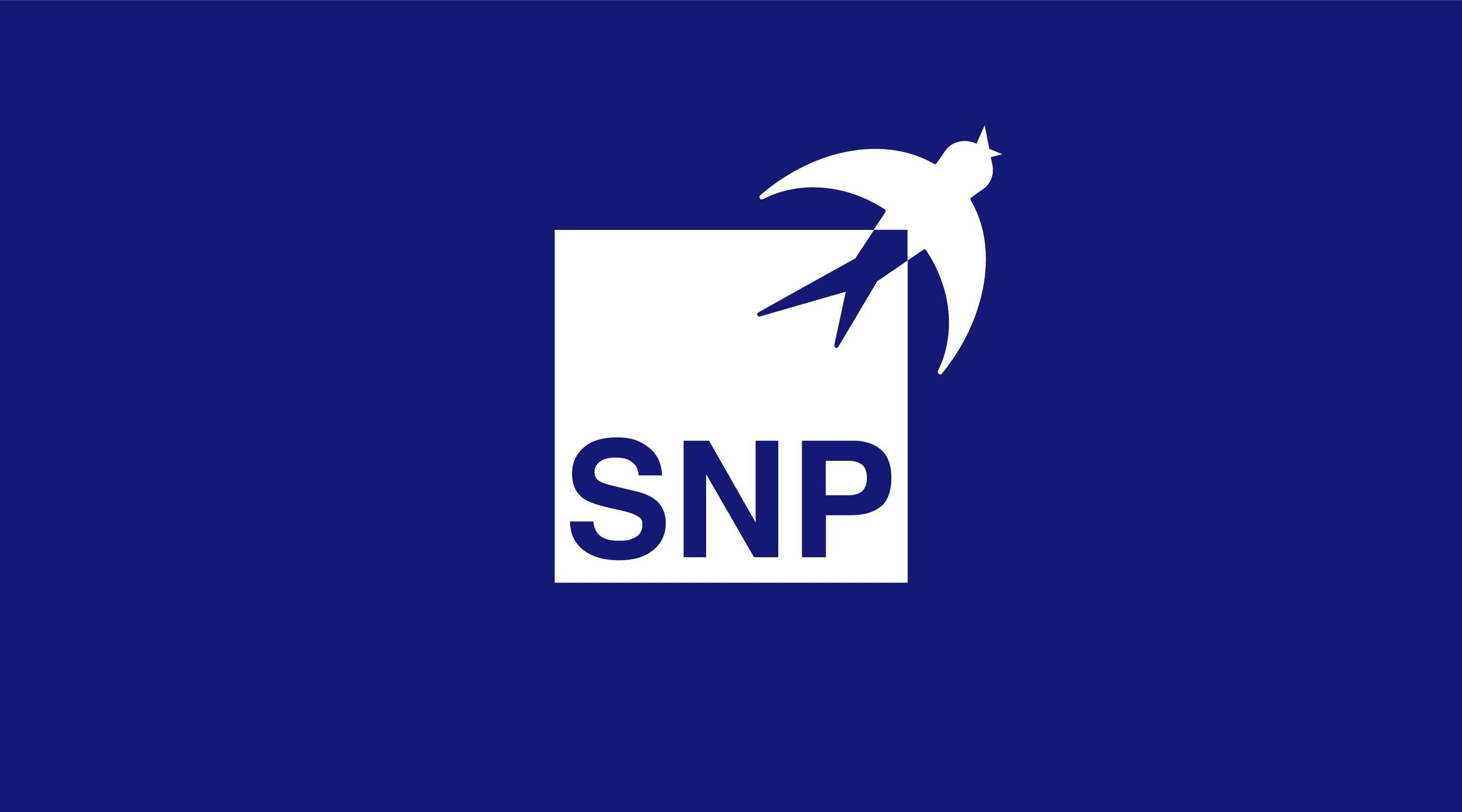 Logo SNP Schneider-Neureither & Partner