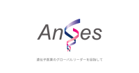 Logo AnGes