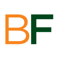 Logo BayFirst Financial