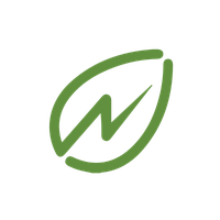 Logo NET PWR Registered (A)